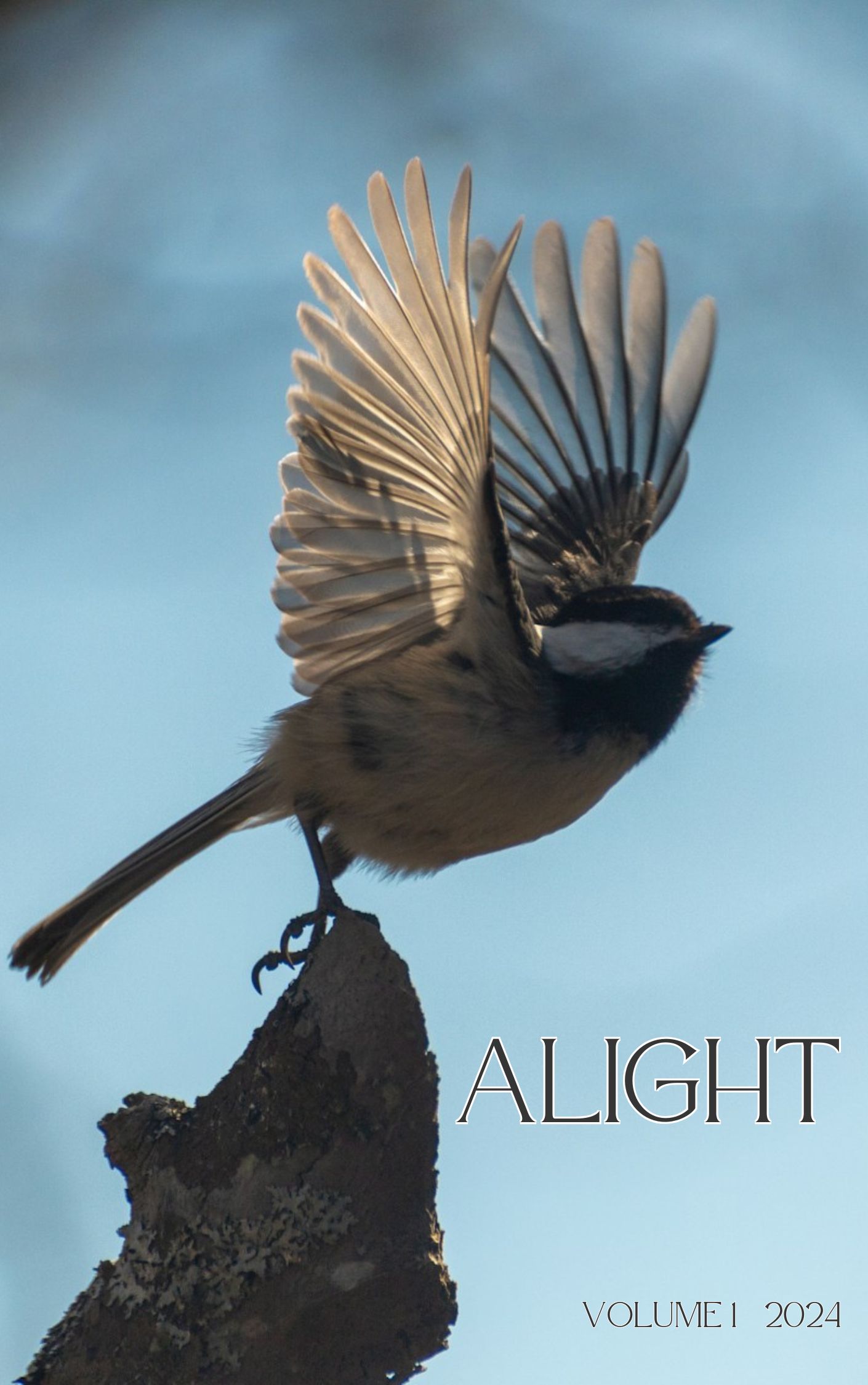 Cover image, volume 1. Chickadee alighting on a stump.